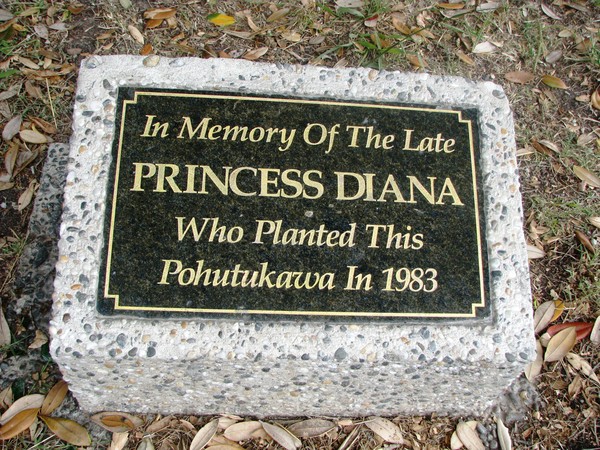 Plaque by tree planted by Princess Diana
